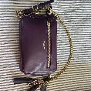 Coach Purple and Gold Crossbody Bag with Chain Strap